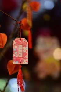 phiên bản mới Nohu